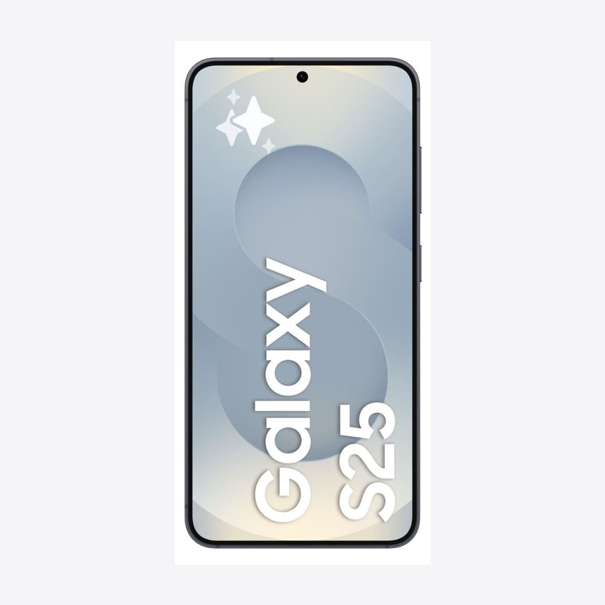 Samsung Galaxy S25